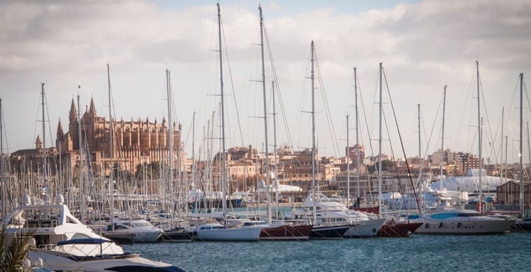 [Translate to German:] The Harbour in Palma de Mallorca 