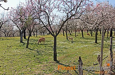Sehr gepflegtes Boutiqe Hotel mit Restaurant zu verkaufen