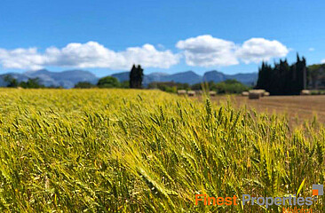 Zwei nebeneinander liegende Baugrundstücke in Santa Maria zu verkaufen