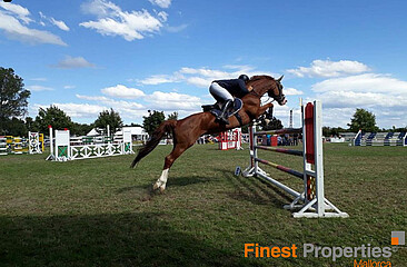Reitanlage auf Mallorca zu verkaufen