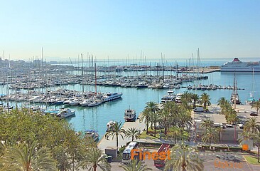 5 Rohbauetagen am Paseo Maritimo zu verkaufen