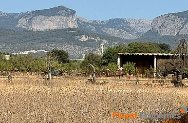47.000m² Grundstück Nähe Inca für Neubauvilla zu verkaufen