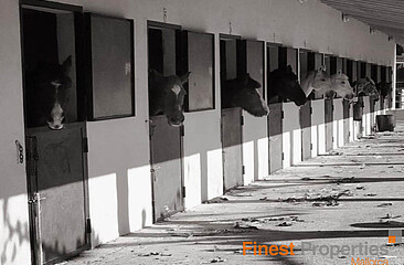 Reitanlage mit 40 Pferdeställen und 15 - Koppeln Nähe Palma zu mieten