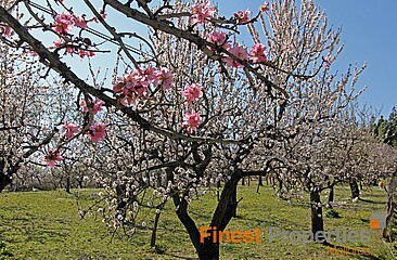 Diverse Bauprojekte die wir offline anbieten